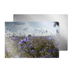 ChromaLuxe tableau photo en aluminium brossé, 200 x 300 x 1,15 m